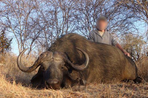 Trophy Buffalo hunting in Zimbabwe 10 x Days in Matetsi Unit 2
