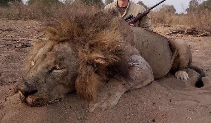 Leopard Hunting in Namibia & Brown Hyena Cancelation Hunt