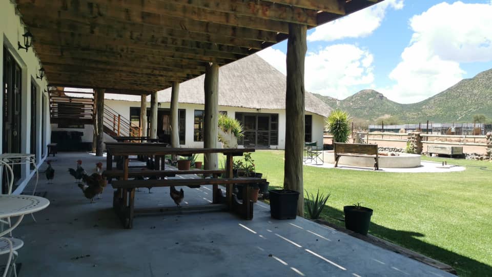 Leopard Hunting in Namibia & Brown Hyena Cancelation Hunt