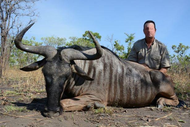 Leopard Hunting in Namibia & Brown Hyena Cancelation Hunt