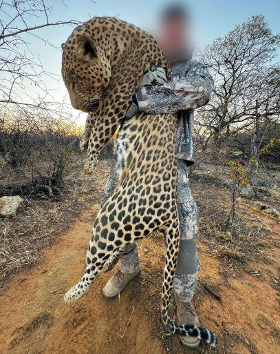 Leopard Hunting in Namibia & Brown Hyena Cancelation Hunt