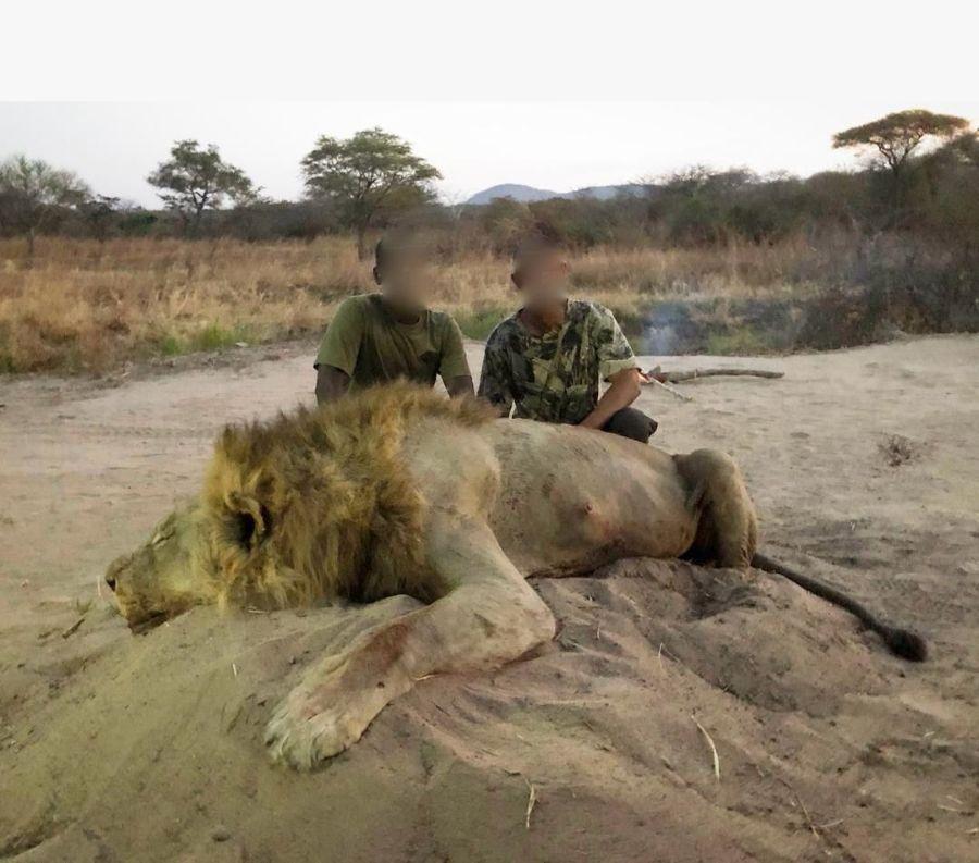 Leopard Hunting in Namibia & Brown Hyena Cancelation Hunt