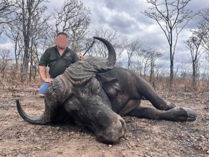 Leopard Hunting in Namibia & Brown Hyena Cancelation Hunt