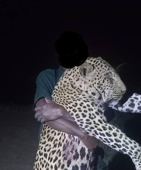 14 Day Leopard and Plains Game Hunting in Tanzania