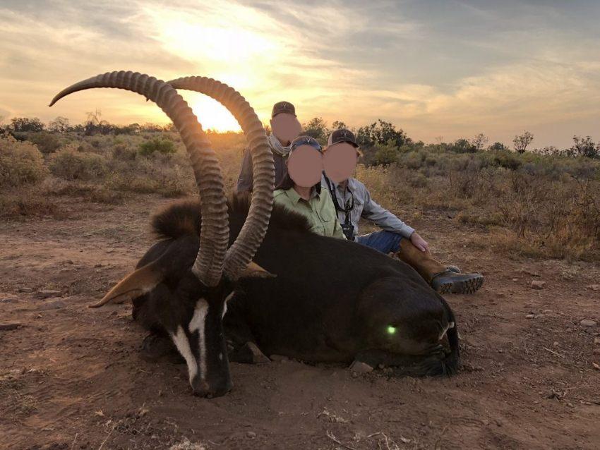 Leopard Hunting in Namibia & Brown Hyena Cancelation Hunt