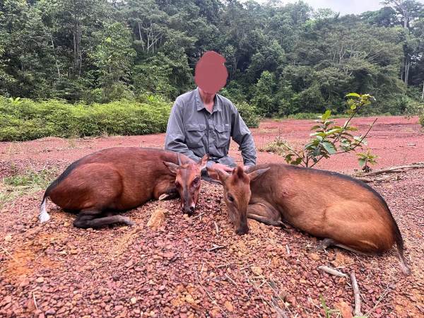 Leopard Hunting in Namibia & Brown Hyena Cancelation Hunt