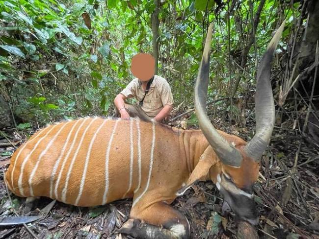 Leopard Hunting in Namibia & Brown Hyena Cancelation Hunt