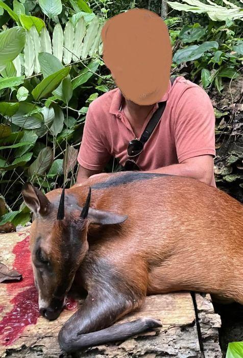 Leopard Hunting in Namibia & Brown Hyena Cancelation Hunt