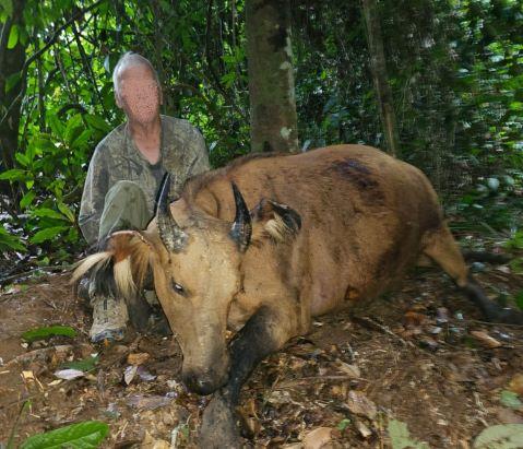 Leopard Hunting in Namibia & Brown Hyena Cancelation Hunt