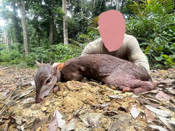 Leopard Hunting in Namibia & Brown Hyena Cancelation Hunt