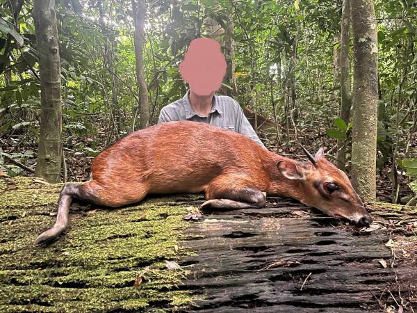 Leopard Hunting in Namibia & Brown Hyena Cancelation Hunt