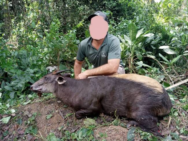 Leopard Hunting in Namibia & Brown Hyena Cancelation Hunt