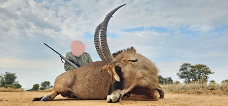 Leopard Hunting in Namibia & Brown Hyena Cancelation Hunt