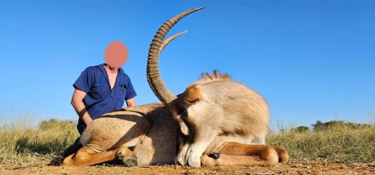 Leopard Hunting in Namibia & Brown Hyena Cancelation Hunt