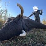 Leopard Hunting in Namibia & Brown Hyena Cancelation Hunt