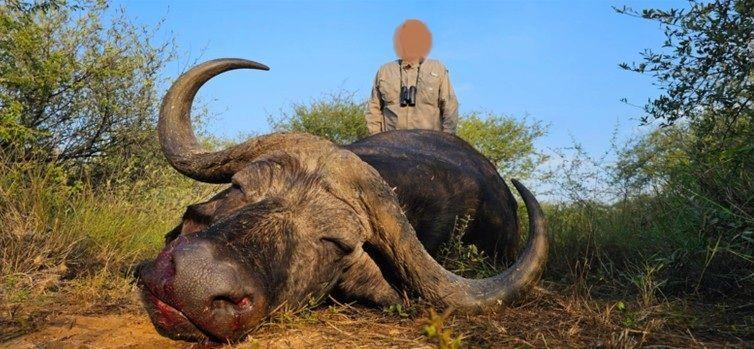 Leopard Hunting in Namibia & Brown Hyena Cancelation Hunt