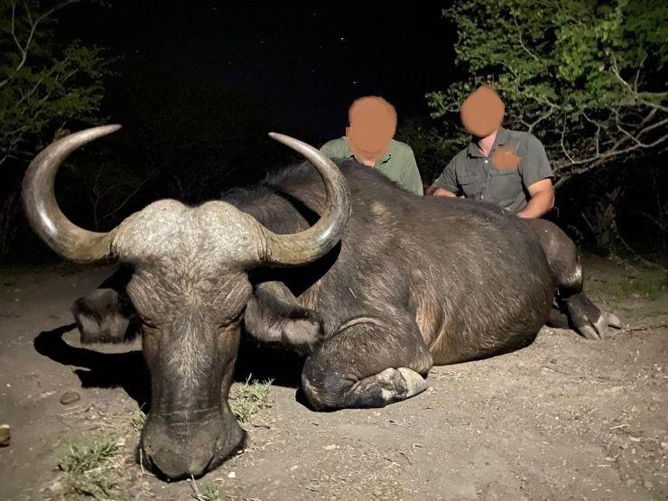 Leopard Hunting in Namibia & Brown Hyena Cancelation Hunt