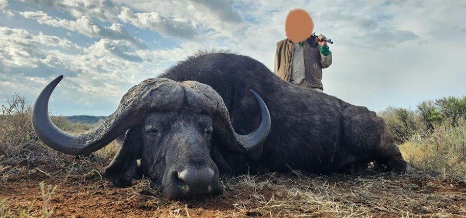 Leopard Hunting in Namibia & Brown Hyena Cancelation Hunt