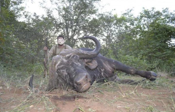 Leopard Hunting in Namibia & Brown Hyena Cancelation Hunt