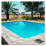 Leopard Hunting in Namibia & Brown Hyena Cancelation Hunt