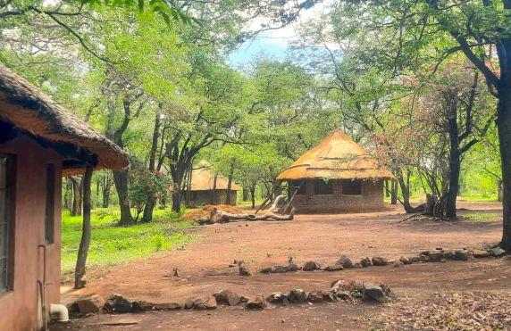 Leopard Hunting in Namibia & Brown Hyena Cancelation Hunt