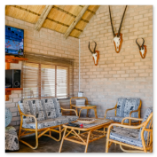 Leopard Hunting in Namibia & Brown Hyena Cancelation Hunt