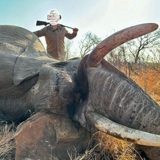 Leopard Hunting in Namibia & Brown Hyena Cancelation Hunt