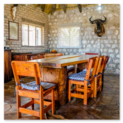 Leopard Hunting in Namibia & Brown Hyena Cancelation Hunt