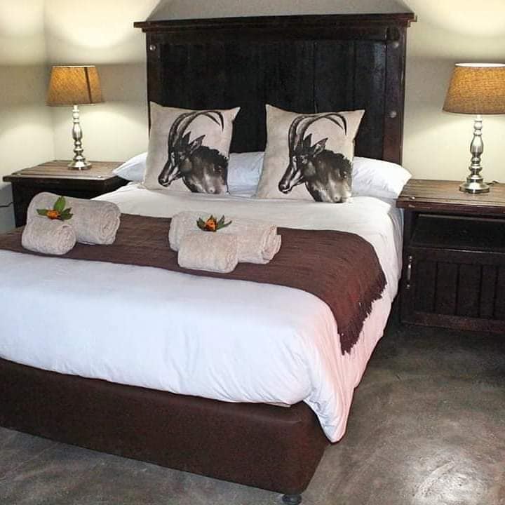 Leopard Hunting in Namibia & Brown Hyena Cancelation Hunt