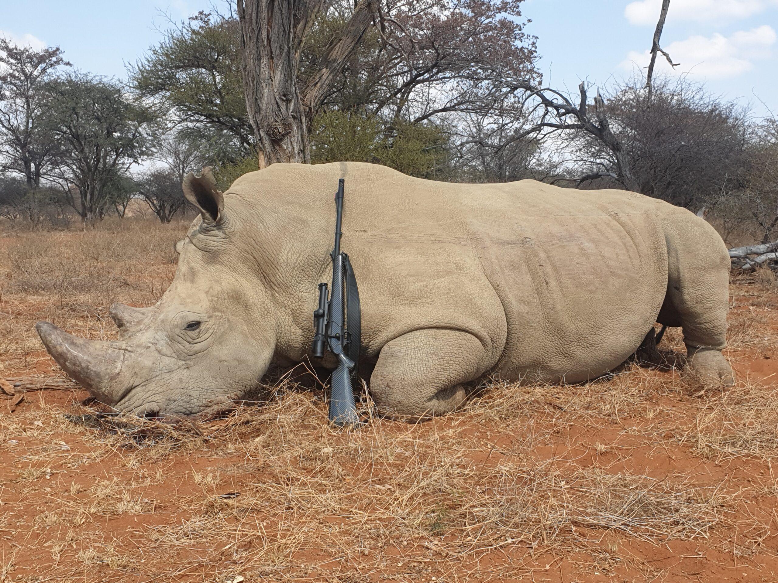Rhino, Buffalo & Sable Hunt in South Africa