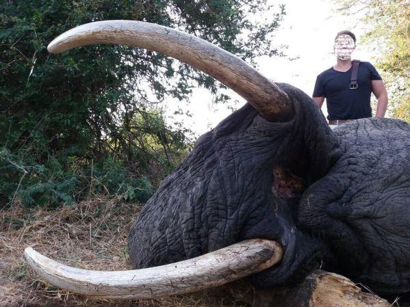 Elephant Hunting for 10 x Days in Hwange, Zimbabwe