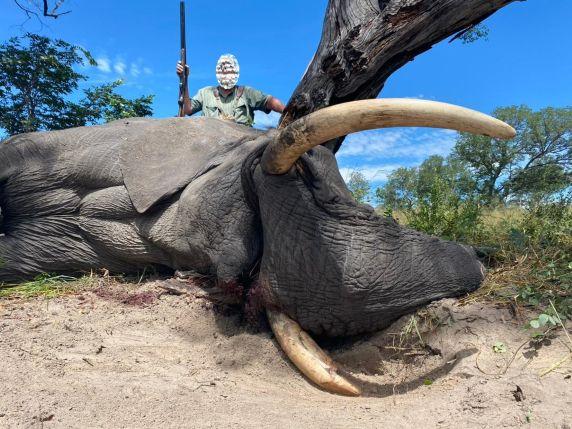 Leopard Hunting in Namibia & Brown Hyena Cancelation Hunt