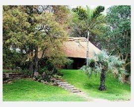 Leopard Hunting in Namibia & Brown Hyena Cancelation Hunt