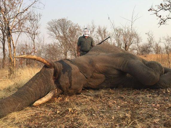 Leopard Hunting in Namibia & Brown Hyena Cancelation Hunt