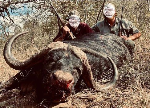 Leopard hunting in Mozambique plus Cape Buffalo in Niassa