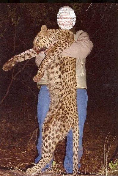 Leopard Hunting in Namibia & Brown Hyena Cancelation Hunt