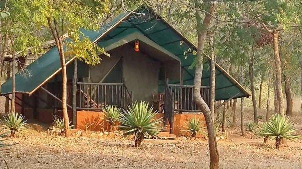 Leopard Hunting in Namibia & Brown Hyena Cancelation Hunt