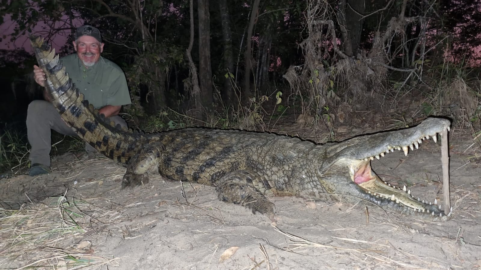 Leopard Hunting in Namibia & Brown Hyena Cancelation Hunt