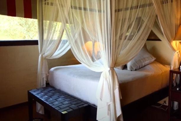 Leopard Hunting in Namibia & Brown Hyena Cancelation Hunt