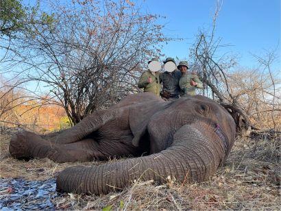 Leopard Hunting in Namibia & Brown Hyena Cancelation Hunt