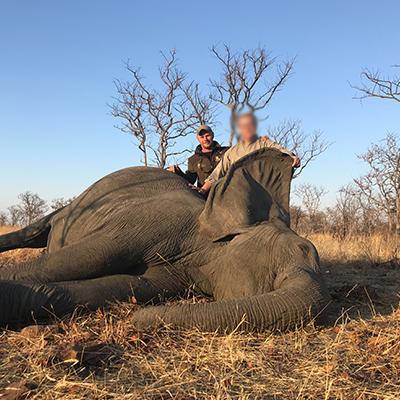 Leopard Hunting in Namibia & Brown Hyena Cancelation Hunt