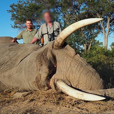 Leopard Hunting in Namibia & Brown Hyena Cancelation Hunt