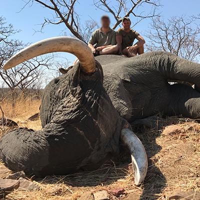 Leopard Hunting in Namibia & Brown Hyena Cancelation Hunt