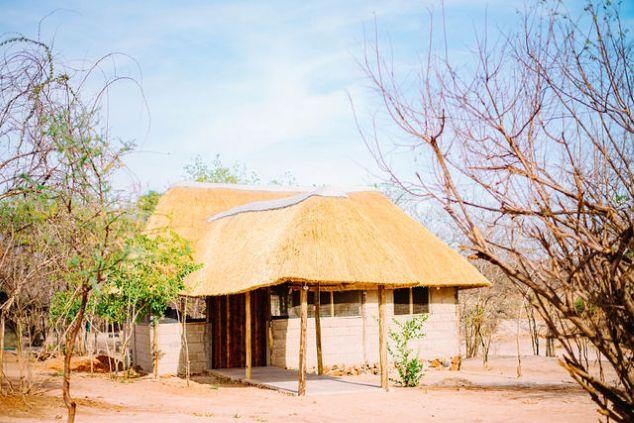 Leopard Hunting in Namibia & Brown Hyena Cancelation Hunt