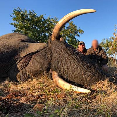 Leopard Hunting in Namibia & Brown Hyena Cancelation Hunt