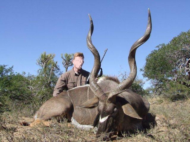 Management Hunt in South Africa 16 x Animals in Eastern Cape