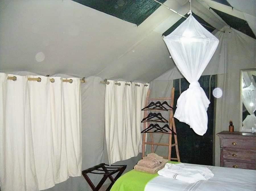 Leopard Hunting in Namibia & Brown Hyena Cancelation Hunt