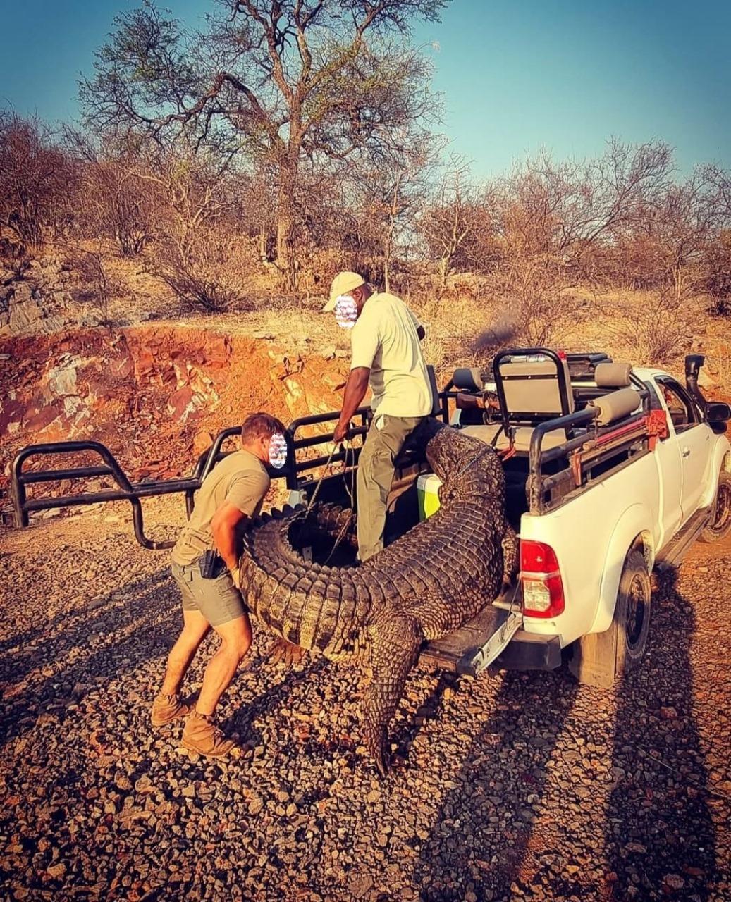 Leopard Hunting in Namibia & Brown Hyena Cancelation Hunt