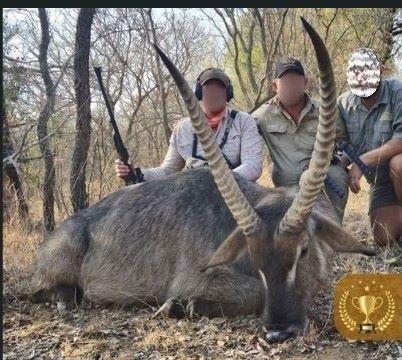 Leopard Hunting in Namibia & Brown Hyena Cancelation Hunt