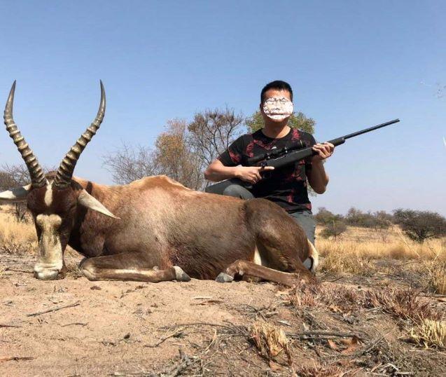 Wildebeest hunting and More in SA 10 days x 2 Hunters